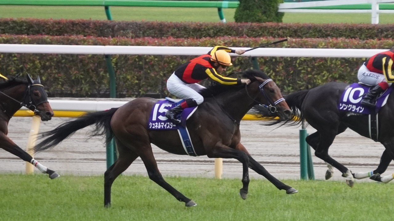 Japanese Trainer Tezuka Hopes To Win Glory And Riches With ... Image 2